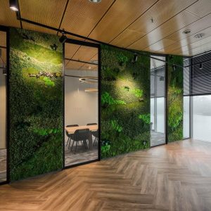 Exclusieve wandafwerking. Mos